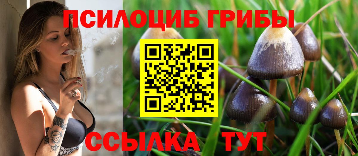 Галлюциногенные грибы GOLDEN TEACHER Нягань